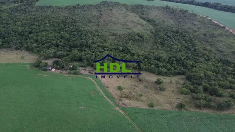 Imagem Fazenda 70 Alqs Dupla Aptidão plantada em Soja em Bela Vista GO