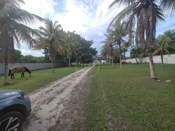 Imagem TERRENO plano com 10.312m² em GUARATIBA - Rio de Janeiro, RJ