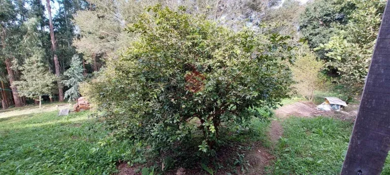 Imagem Chácara à venda em Campo Largo/PR