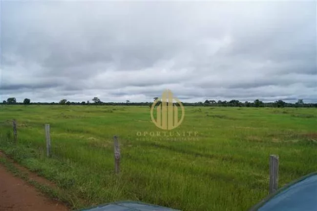 Imagem Fazenda em São Miguel do Araguaia à venda, - Centro - São Miguel do Araguaia/GO
