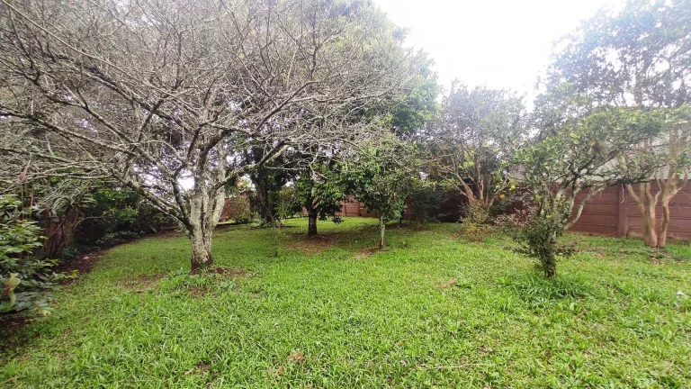 Imagem Casa com 320m2 e terreno com 1.016m2 na Vila Bancária, Campo Largo/PR