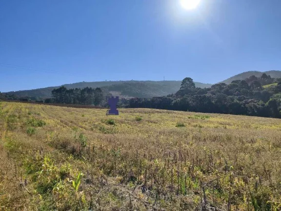 Imagem CHÁCARA NA REGIÃO NO BUGRE EM BALSA NOVA