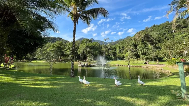 Imagem TERRENO EM CONDOMÍNIO FECHADO NO BAIRRO: HORTO FLORESTAL UBATUBA-SP
