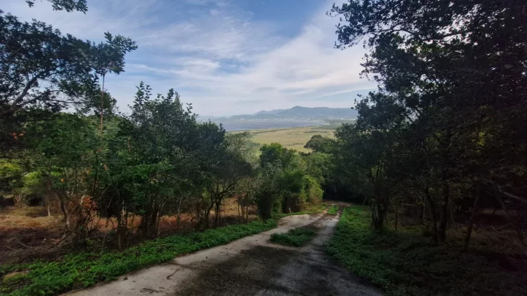 Imagem Terreno à Venda na Praia da Silveira em Garopaba-SC - Vista para a Lagoa da Ferrugem!