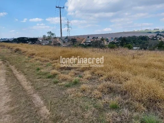 Imagem Terreno à venda Centro, Ponta Grossa - PR