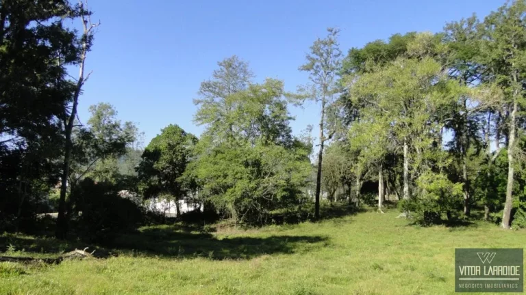 Imagem Terreno de 10,4 Hectares à Venda no Bairro Bom Pastor