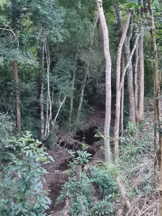 Imagem BELÍSSIMO SITIO NO BAIRRO MORRO GRANDE - PILAR DO SUL