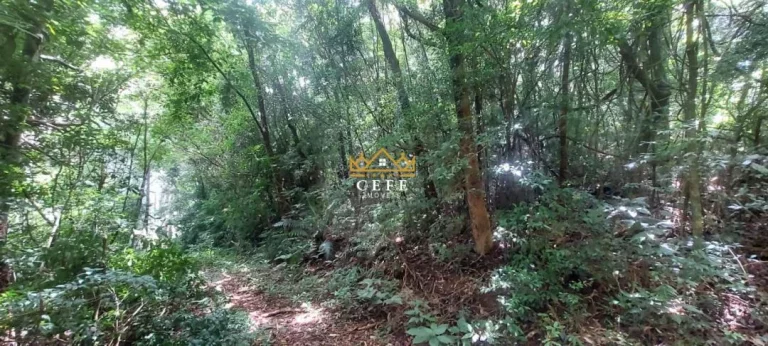 Imagem Chácara - Sítio com 2 Dormitorio(s) localizado(a) no bairro Carapina em São Francisco de Paula / RIO GRANDE DO SUL Ref.:1537