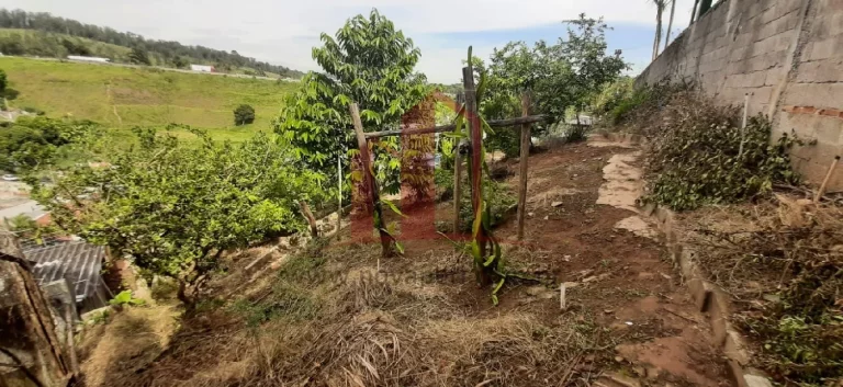 Imagem Oportunidade única: Terreno à venda na Vila Inácio, São Paulo-SP, com 330,00 m² de área