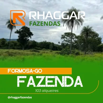 Sua Oportunidade de Investimento em Formosa-GO