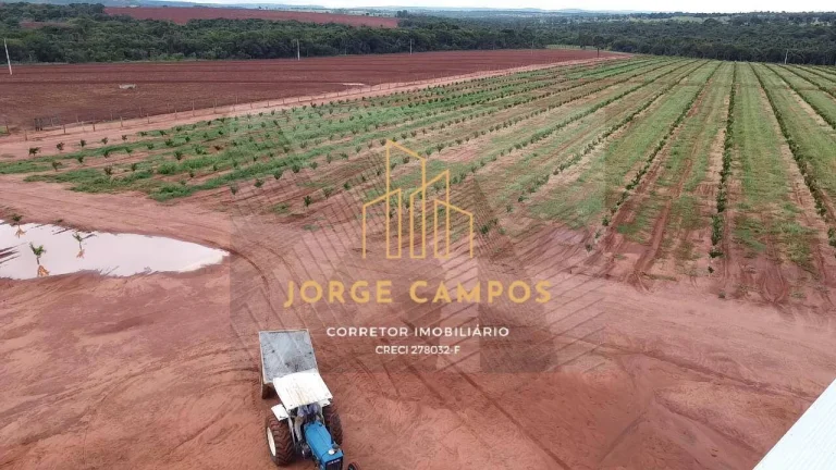 Imagem FA-2470 - BELA FAZENDA À VENDA EM CAMPINA VERDE - MG