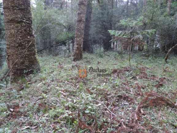 Imagem Sítio com 2 dormitórios à venda, 1000000 m² por R$ 28.000.000,00 - Dos Marmelos - Campos do Jordão/SP