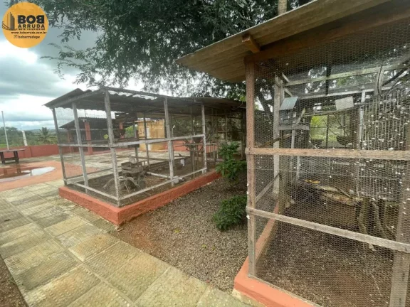 Imagem Terreno Padrão