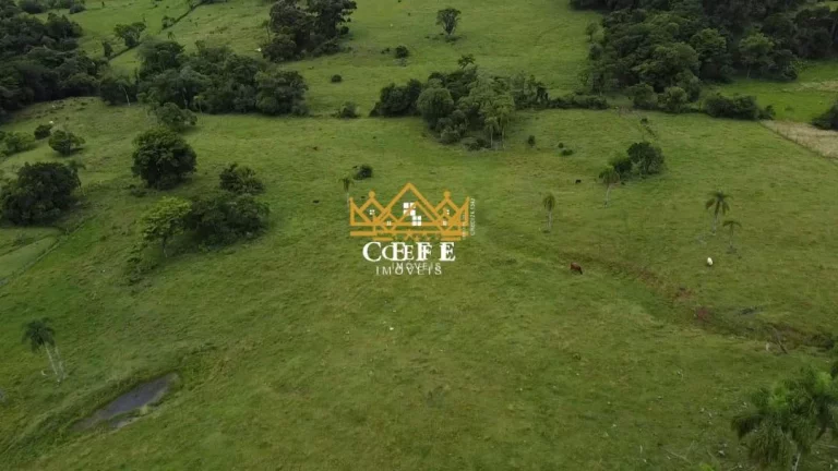 Imagem Chácara - Sítio com 3 Dormitorio(s) localizado(a) no bairro Zona Rural em Igrejinha / RIO GRANDE DO SUL Ref.:1386