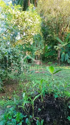 Imagem TERRENO COM 750M² NO BOM RETIRO
