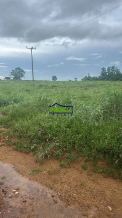 Imagem Fazenda 226 Alqs Dupla aptidão Natividade/TO