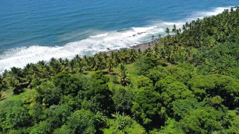 Imagem Natureza Serra Grande