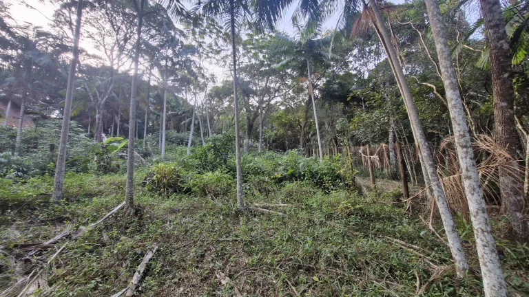 Imagem Terreno com 630m² à venda por R$200.000,00 no Siriú - Garopaba-SC