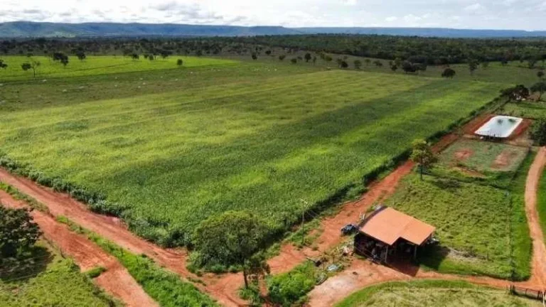 Imagem Oportunidade Única! Fazenda de Alto Potencial em Várzea da Palma - Conheça Agora!