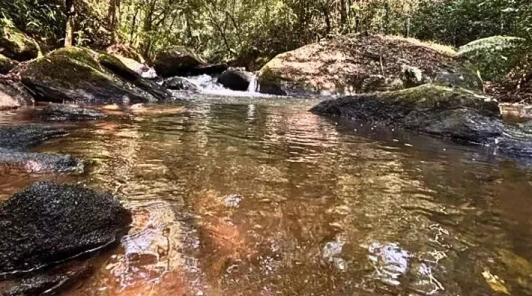 Imagem A Dimensão Exclusiva do Refúgio: Natureza e Investimento em Gonçalves