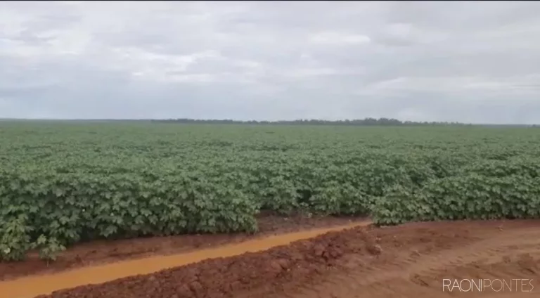 Imagem Fazenda à Venda, 34.060.000 m² em Zona Rural - Novo São Joaquim