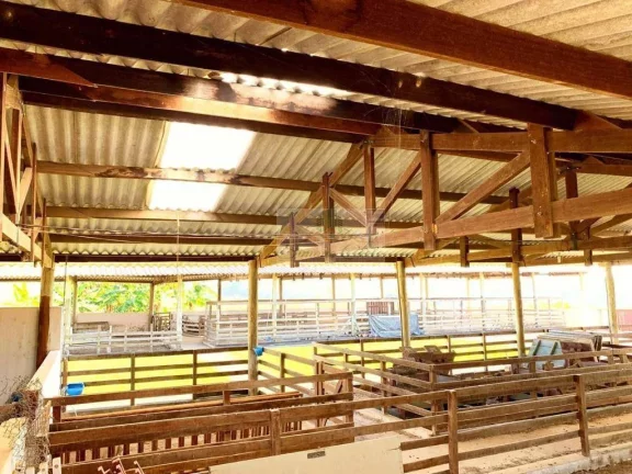 Imagem SITIO SARAPUÍ -SP