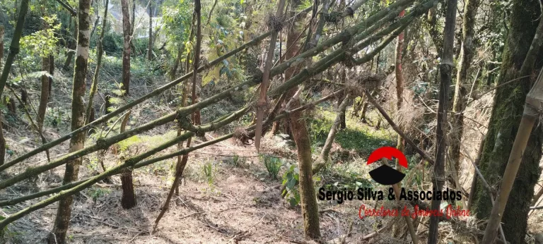 Imagem Terreno a Venda na Região do Alto da Boa Vista em Campos do Jordão -SP.