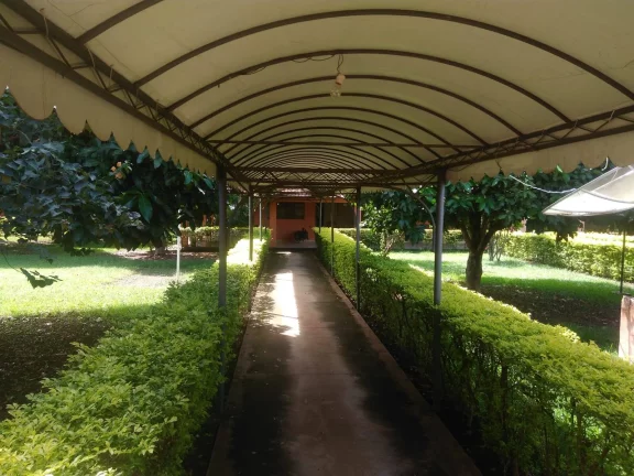 Imagem FAZENDA LUXUOSA À VENDA EM FORMOSA GOIÁS