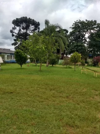 Imagem Sítio para Venda em Suzano, Ipelândia