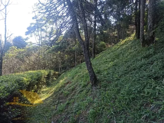 Imagem Alugo Chácara em Theodoro com 3 quartos e 1 suíte