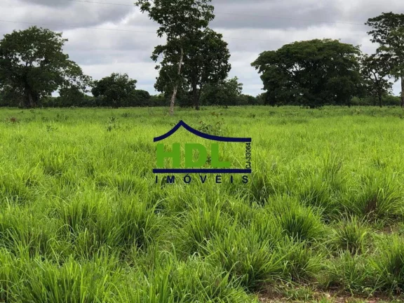 Imagem FAZENDA COM 1.180 ALQS ARAGUIANA MT