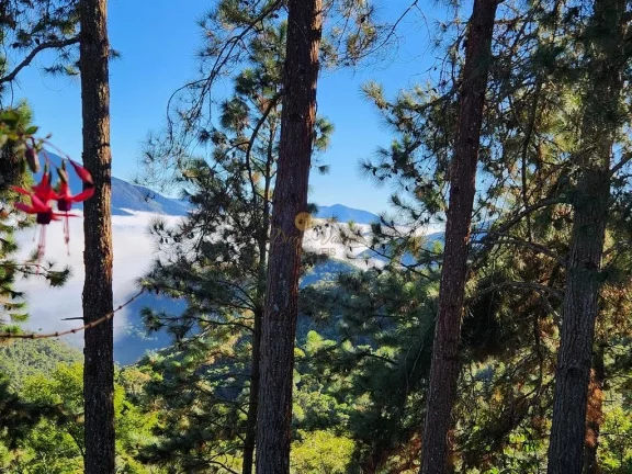 Imagem Casa para Venda em Teresópolis / RJ no bairro Albuquerque