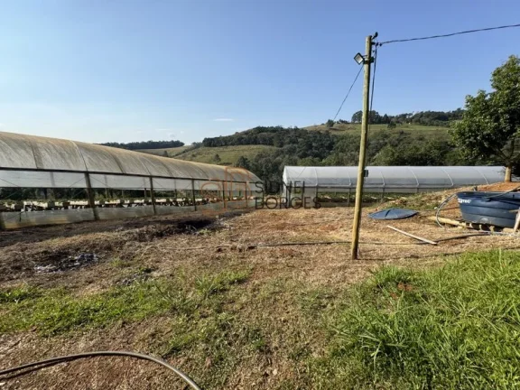 Imagem Sítio CONCÓRDIA - SC