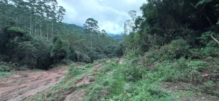 Imagem Área rural à venda em Santa Rosa de Lima/SC