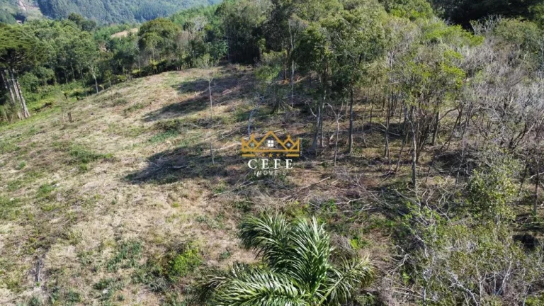 Imagem Chácara - Sítio com 2 Dormitorio(s) localizado(a) no bairro Linha Tapera em Gramado / RIO GRANDE DO SUL Ref.:1516