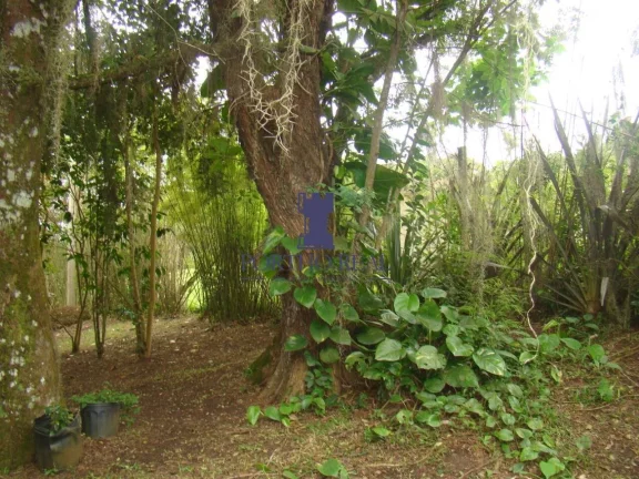 Imagem CHÁCARA EM CAMPO LARGO COM 8.655,80M2.
Belíssima Chácara com 8.655,80 m2,localizada em região no...