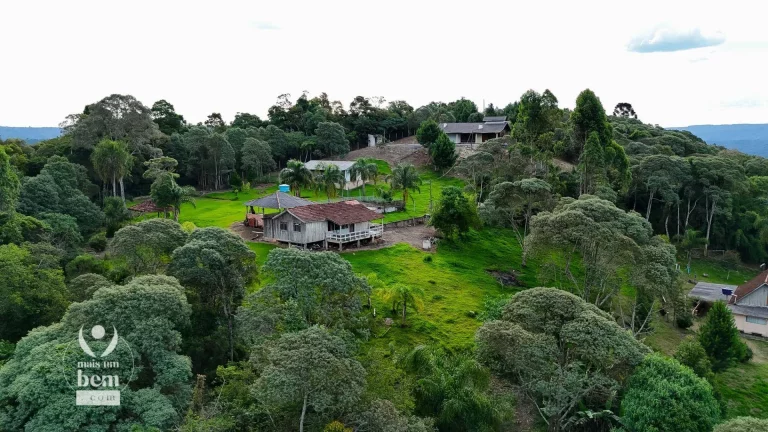 Imagem ESTUDA PERMUTA - Chácara à venda de 900K por apenas R$ 599.901 - Itambézinho - Campo Largo/PR