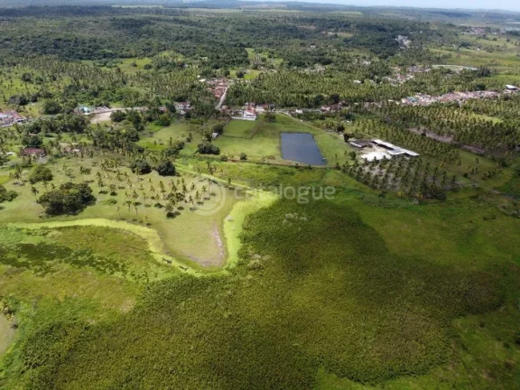 Imagem ÁREA Á VENDA EM NISIA FLORESTA