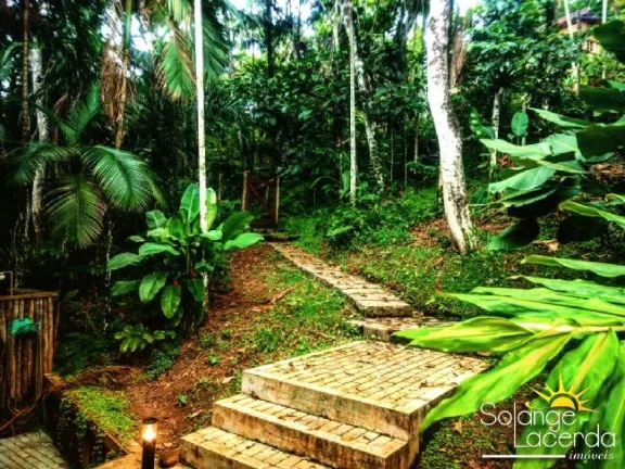 Imagem Lindo - Amplo - Integrado à Natureza - Escritura Definitiva.