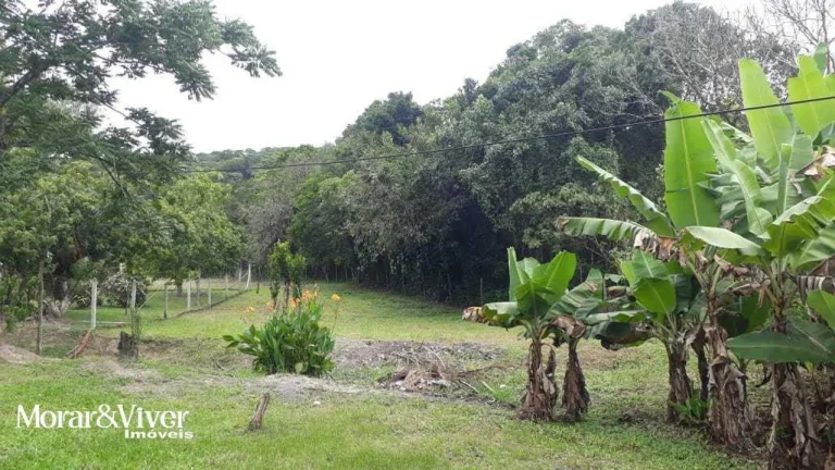 Imagem Sítio para Venda em Paranaguá, Alexandra, 3 dormitórios, 1 banheiro, 2 vagas