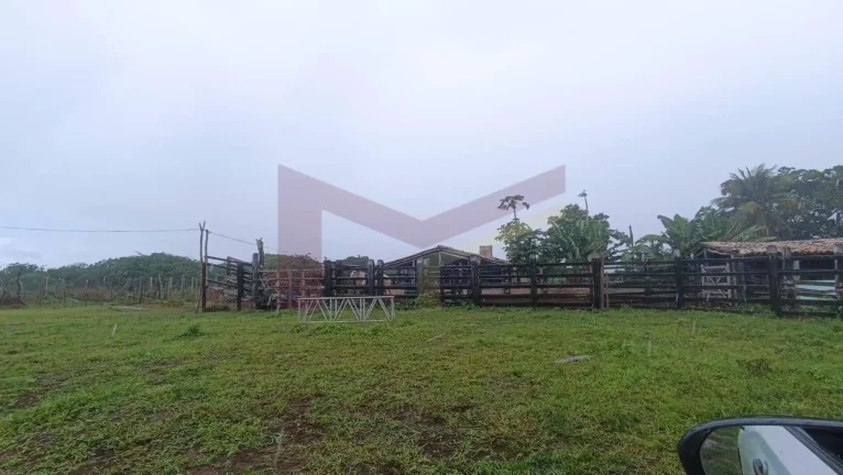 Imagem Fazenda Em Retiro deo Coração de Maria 147 tarefas (640.332 metros)