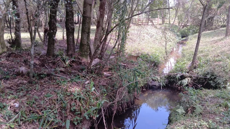 Imagem Terreno com 7260m2 no Centro de Fernandes Pinheiro