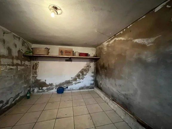 Imagem Oportunidade no Bairro Floresta – Casa com Estrutura para Ampliação!