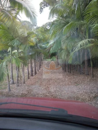 Imagem Sítio à venda, 72000 m² por R$ 400.000,00 - Padre André - Jacupiranga/SP