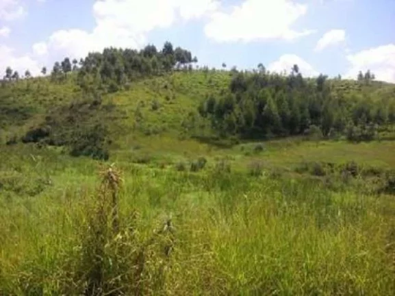 Imagem Área à venda, 992000 m² - Baruel - Suzano/SP
