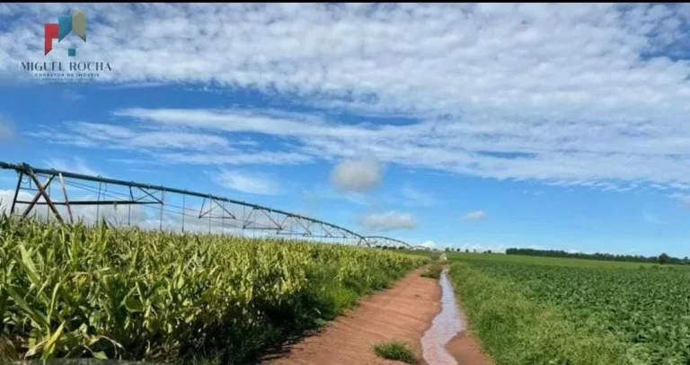 Imagem Fazenda região de Avaré SP