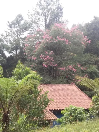 Imagem Sítio para Venda em Ribeirão Pires, Somma, 3 dormitórios, 1 suíte, 2 banheiros, 10 vagas