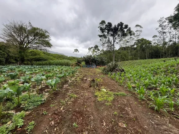 Imagem Hectares no Sul, Area de terra no RS, Hectare em maquine, RS