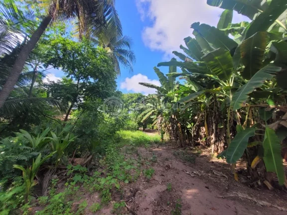 Imagem ÁREA COMERCIAL NA TOMAZ LANDIM