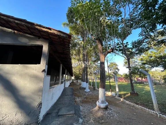 Imagem Chácara à venda Bela Vista de Goiás/GO